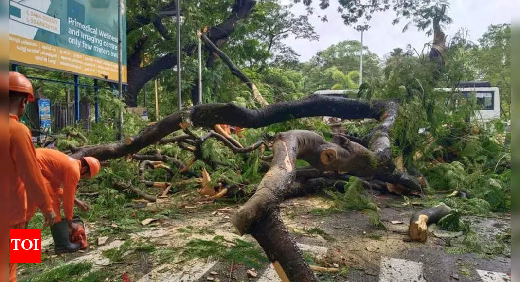 Kerala Districts Receive Funds for Monsoon Disaster Readiness