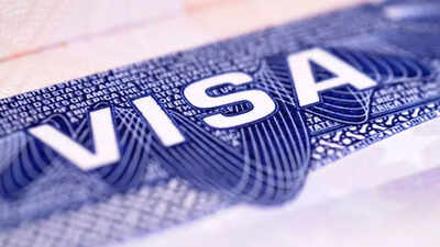 'If you want to apply for a visa...': US on when suspension on interviews will be lifted