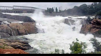 A 1st in 45 years: Kabini dam near full in May