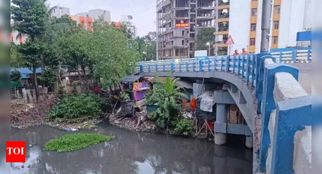 KMC Approves Funds for Water Projects in South Kolkata