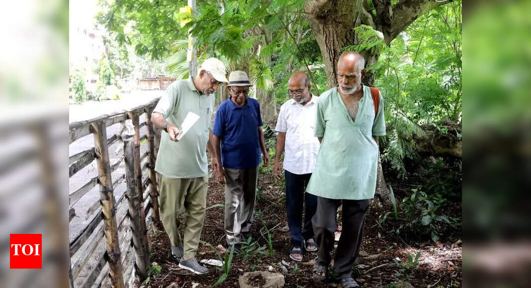 Patuli Senior Citizens Collaborate to Plant Trees, Protect Environment