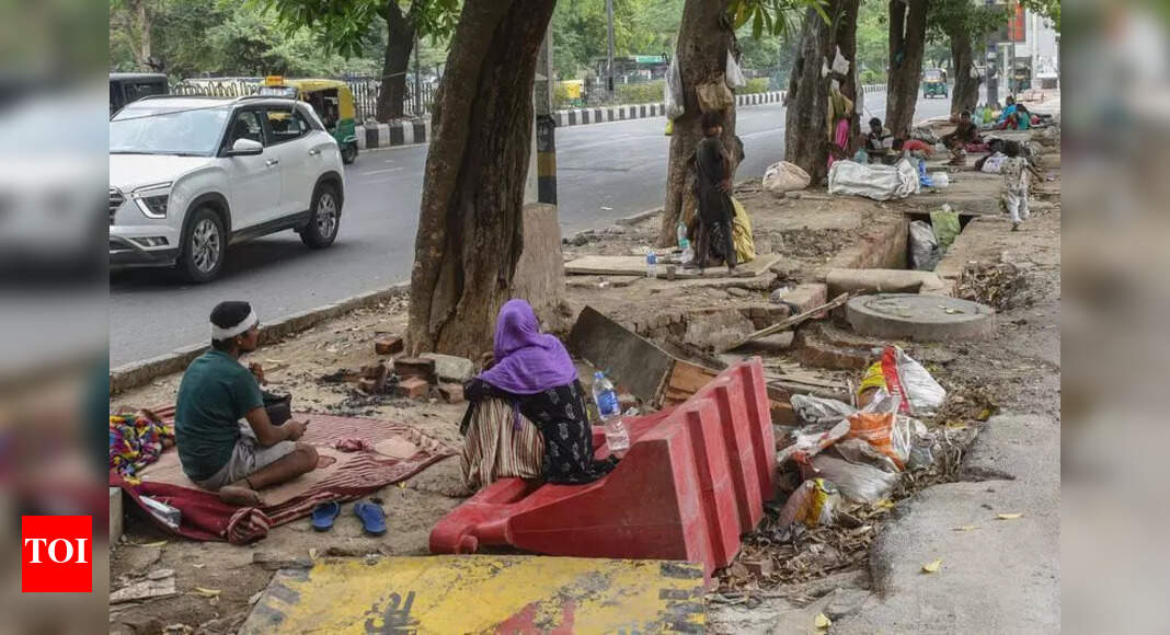 Delhi's Homeless Crisis: Shelters Insufficient, Solutions Debated