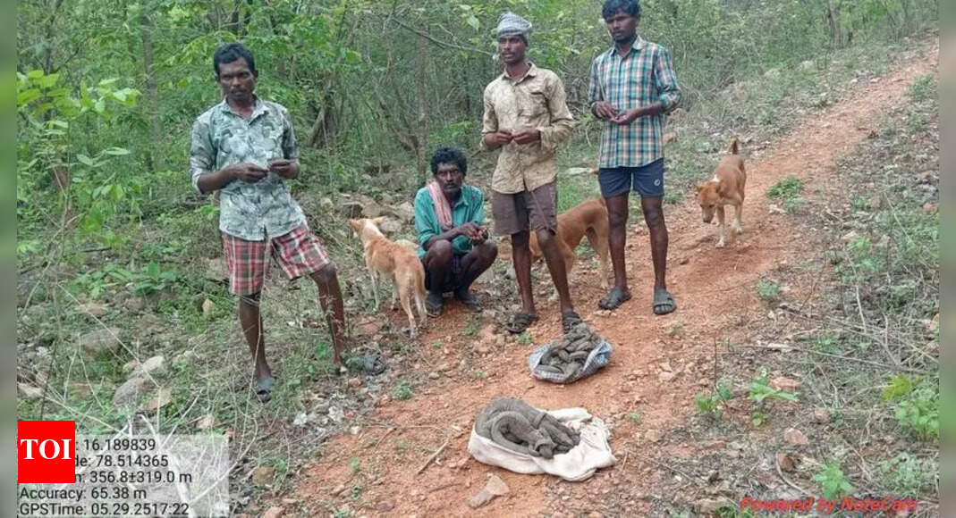 Four Arrested in Amrabad Tiger Reserve for Poaching Monitor Lizards