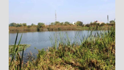  Goa among 10 states yet to send info to NGT