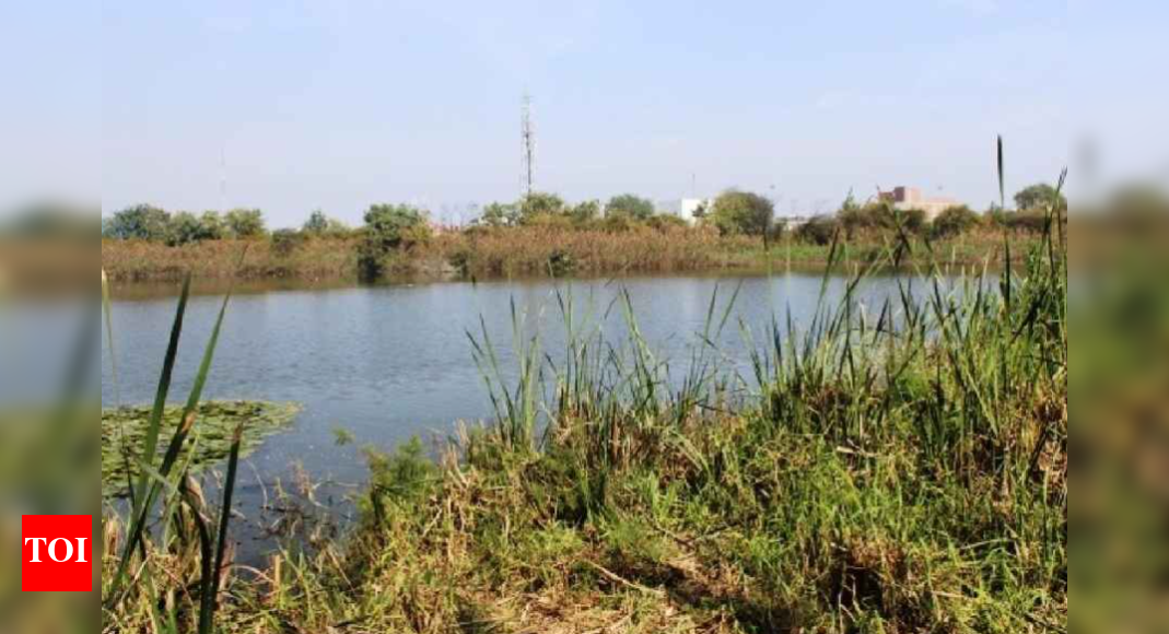 River pollution: Goa among 10 states yet to send info to NGT