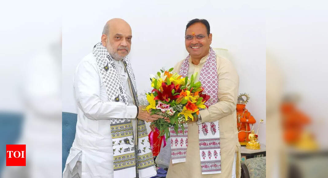 Rajasthan CM Meets Union Ministers to Discuss Development