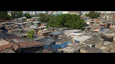 ‘Reclassify SGNP slums land as non-forest to avoid relocation’