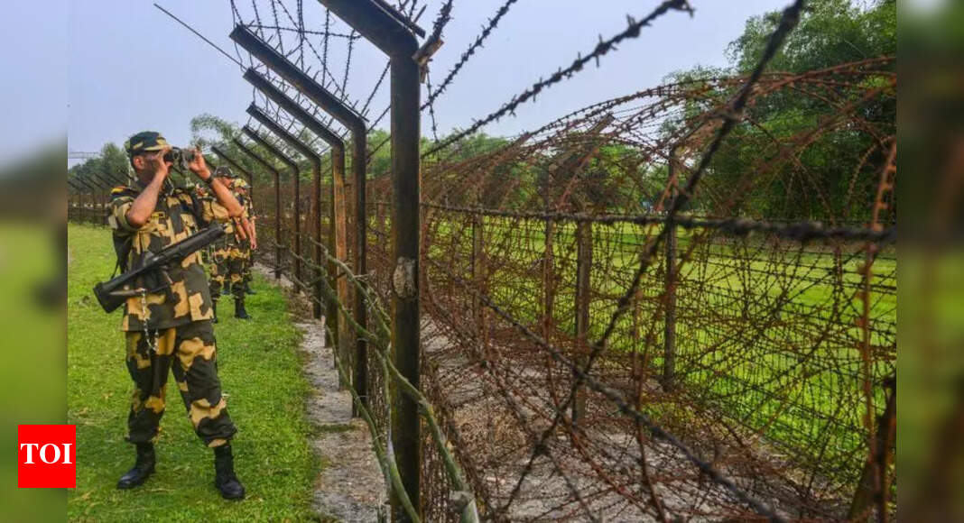 Indian Woman Detained in Bangladesh Border Crossing