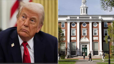 Why does Donald Trump hate Harvard so much? His biographer reveals 'real reason'