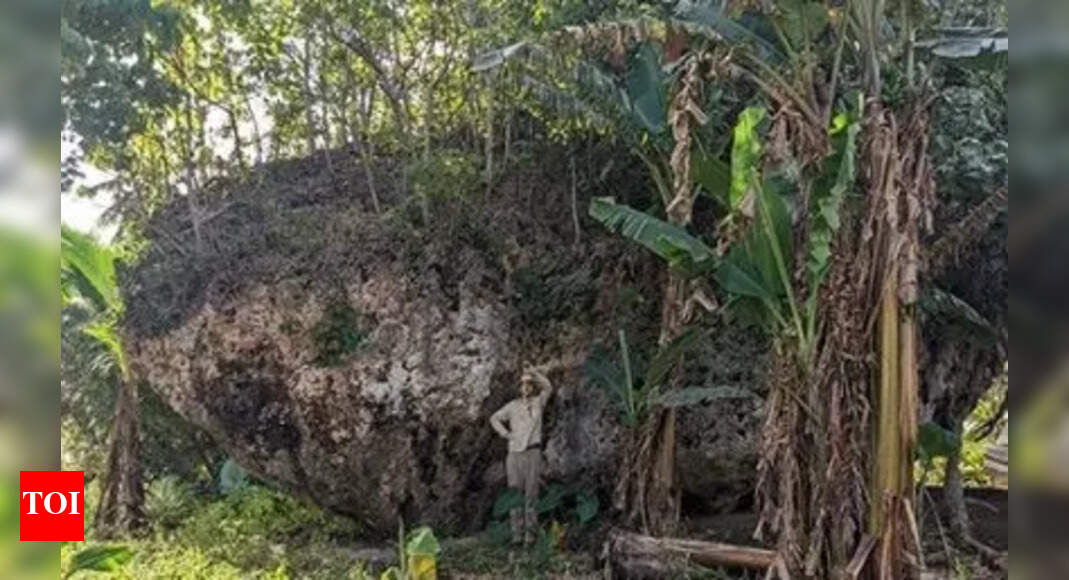 Maka Lahi: A Tsunami's Monumental Legacy in Tonga