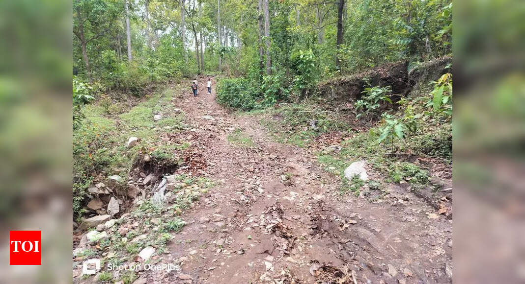 Village Builds Road to Attract Marriage Alliances