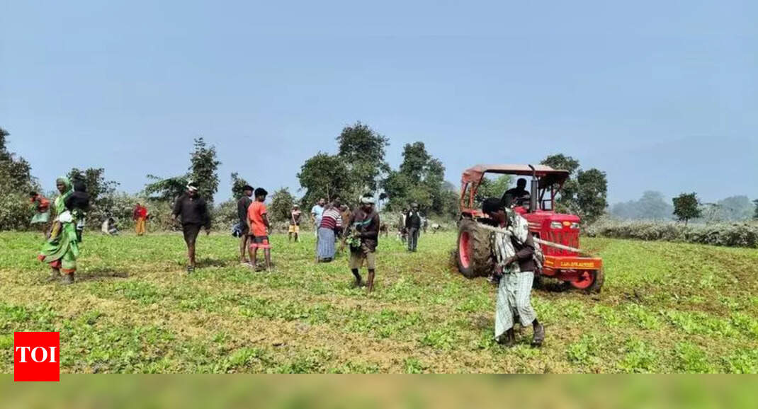 State Battles Rise in Drug Abuse and Poppy Cultivation