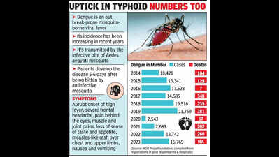 Docs see rise in dengue & malaria cases as rains arrive early; BMC says no spike