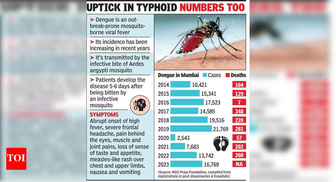 Mumbai Doctors Report Rise in Dengue and Malaria Cases