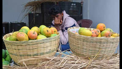Unseasonal rain hits fruit, vegetable yield in Karnataka