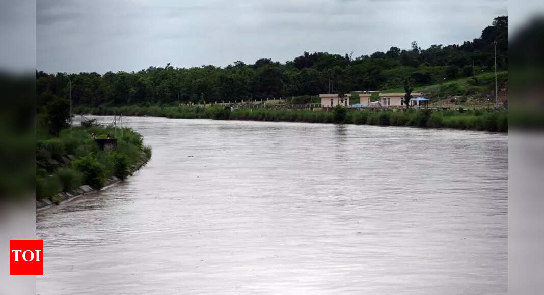 Haryana Cracks Down on Water Theft Amidst Punjab Dispute