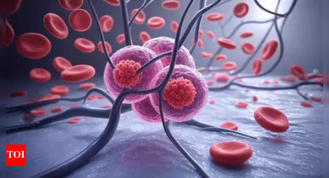 'Cancer is not the end. It’s the beginning of looking at life from a different perspective'