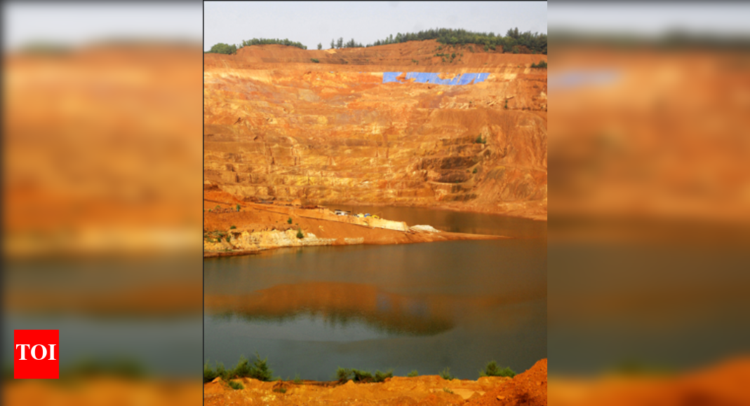 Municipality tells mining firm to desilt Bicholim rivulets in 15 days