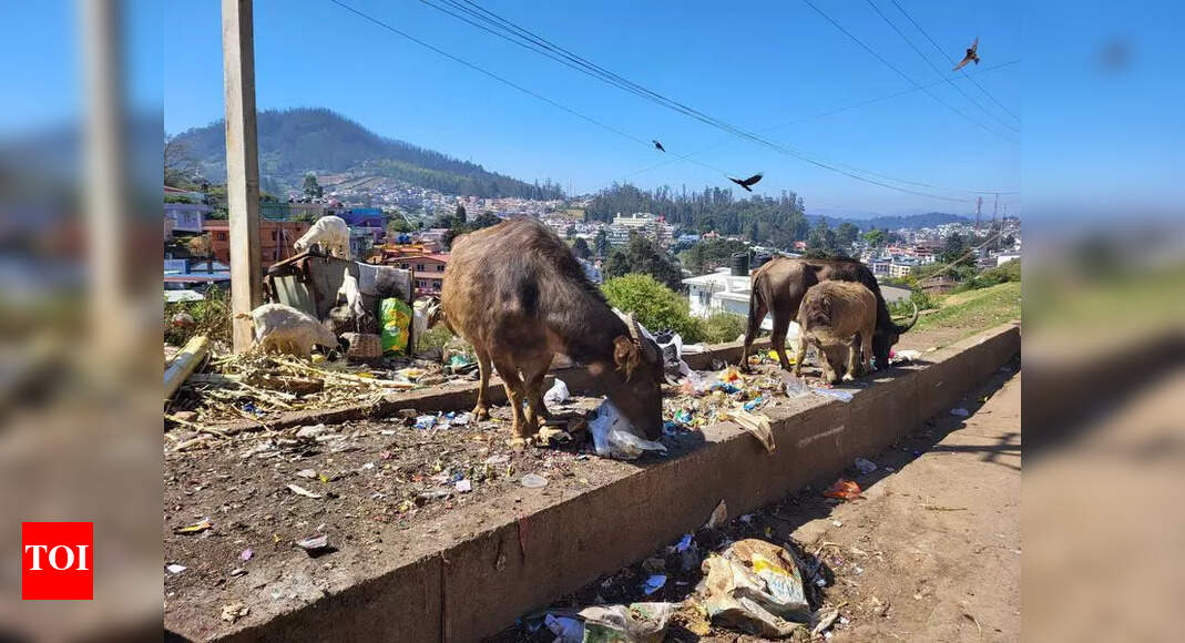 Ooty Residents Faced Sewage and Waste Woes