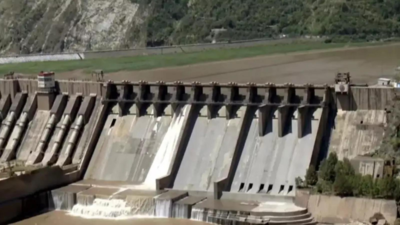 Pakistan schond het Indus -waterverdrag door angst: India