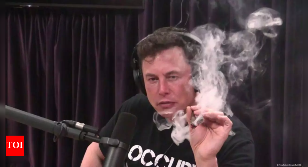 'I am not taking drugs!': Musk refutes claims of drug abuse during 2024 campaign trail