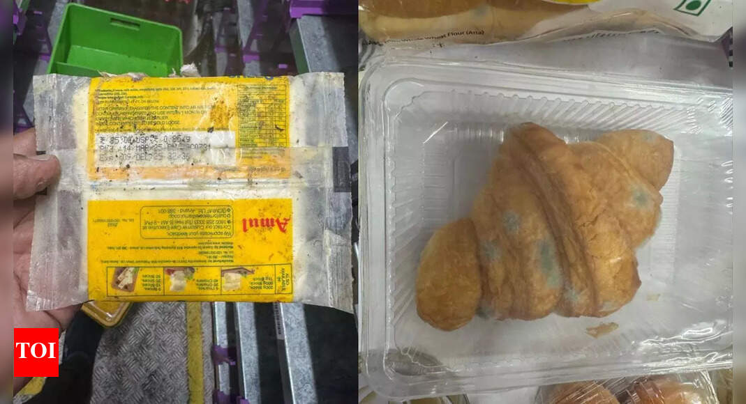 FDA suspends license of Zepto's parent company to operate Dharavi store after safety violations