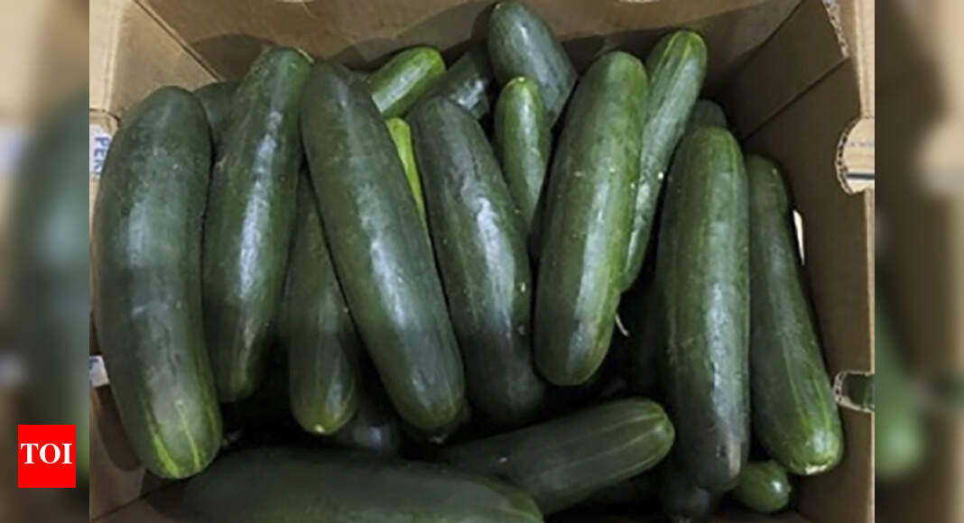Salmonella outbreak linked to cucumbers sickens 45 people across 18 States