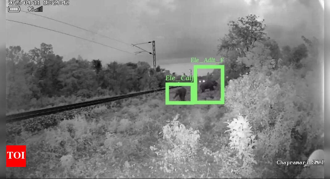 Can technology stop the tragedy in Bengal’s forests?