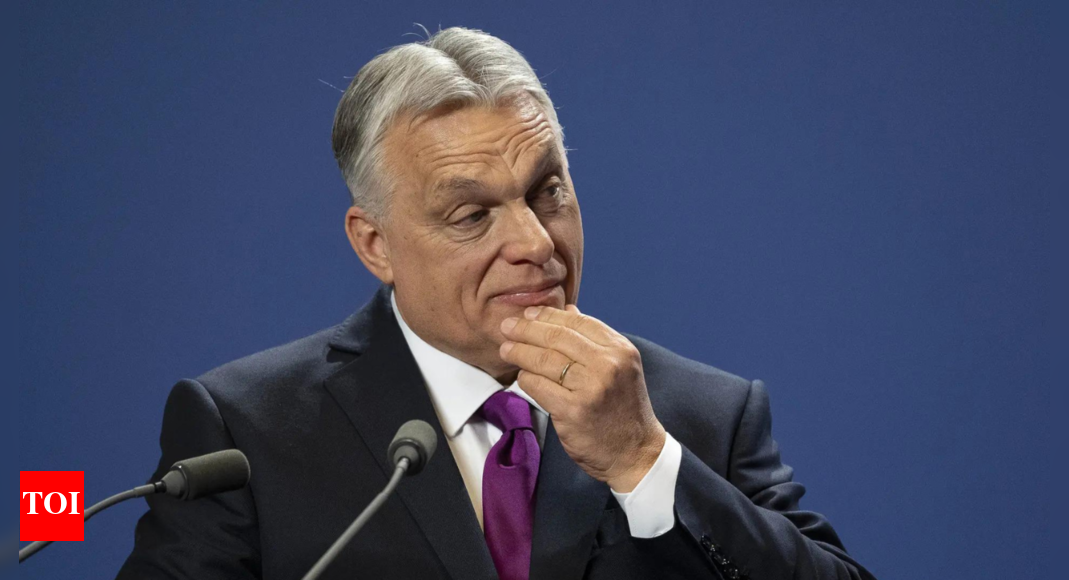 Hungarian Protests Against Law Targeting NGOs and Media