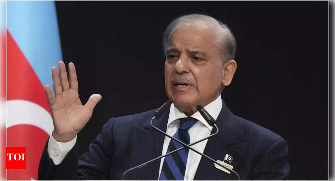 'Allies no longer expect us to come with begging bowl': Pak PM's big admission