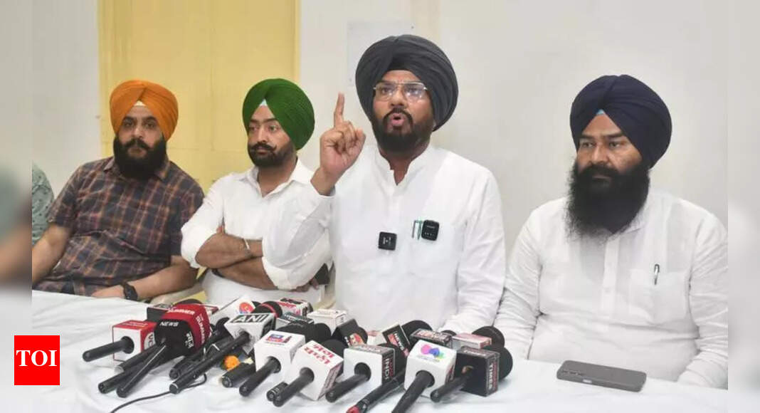 Congress Accuses AAP of Failing to Eliminate Drug Menace