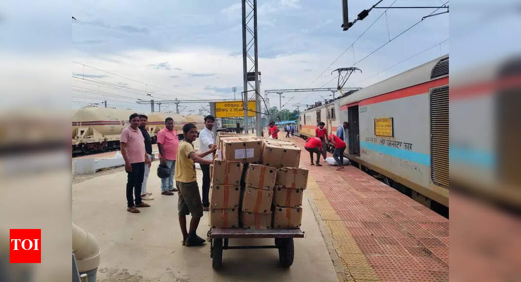 Balangir Mangoes Exported to Europe, Benefiting Farmers