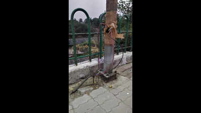 Live threat from exposed power cables on city poles | Lucknow News ...