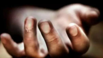 2 tourists die in Kullu tree fall; 5 killed as pickup falls into gorge