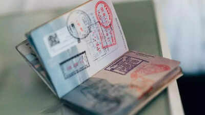  Indian expats in UAE to see major passport overhaul in 2025