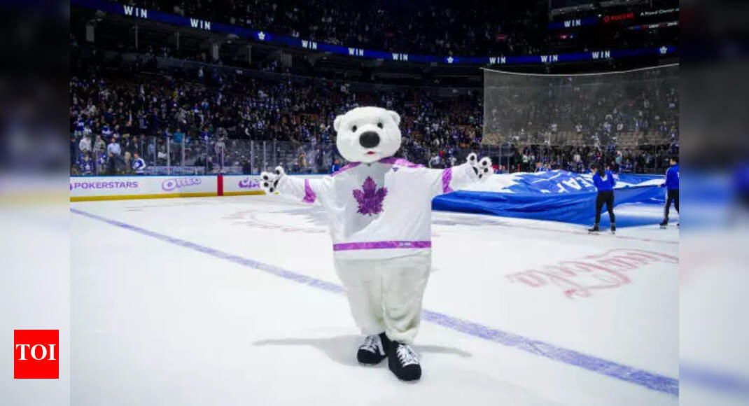 Carlton the Bear and Shawarma Man Star in Hilarious Viral Video