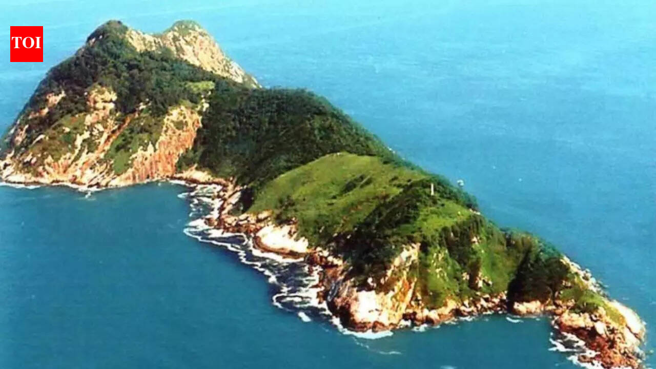 Snake Island: This place is home to 3000 deadliest snakes on Earth