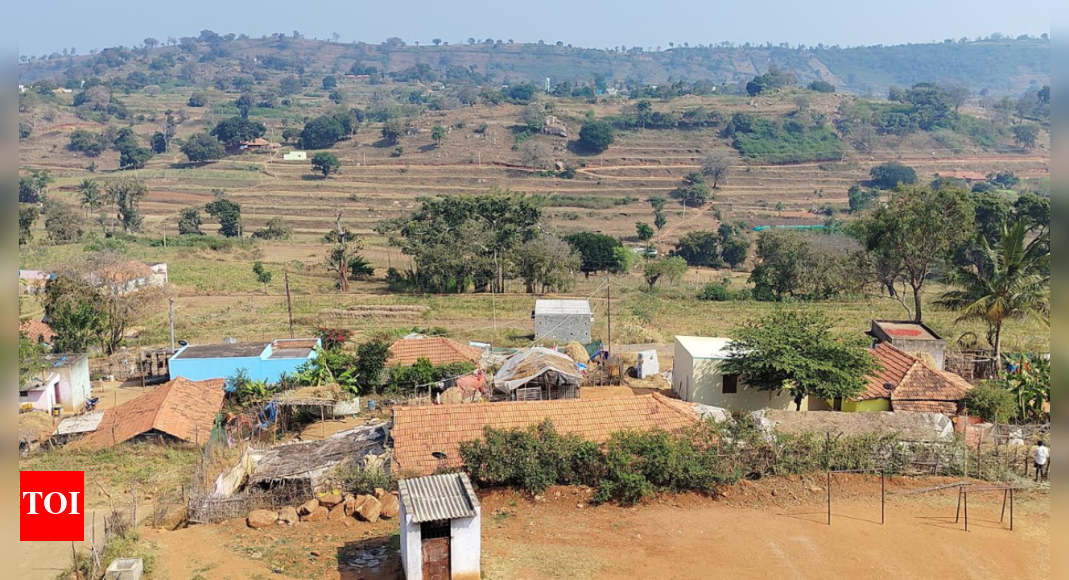 This tribal village in Krishnagiri district lacks basic amenities