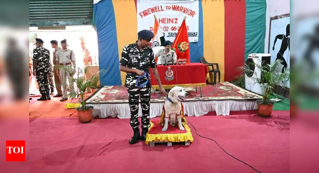SSB Bids Farewell to Narcotics Detection Dog Heinz