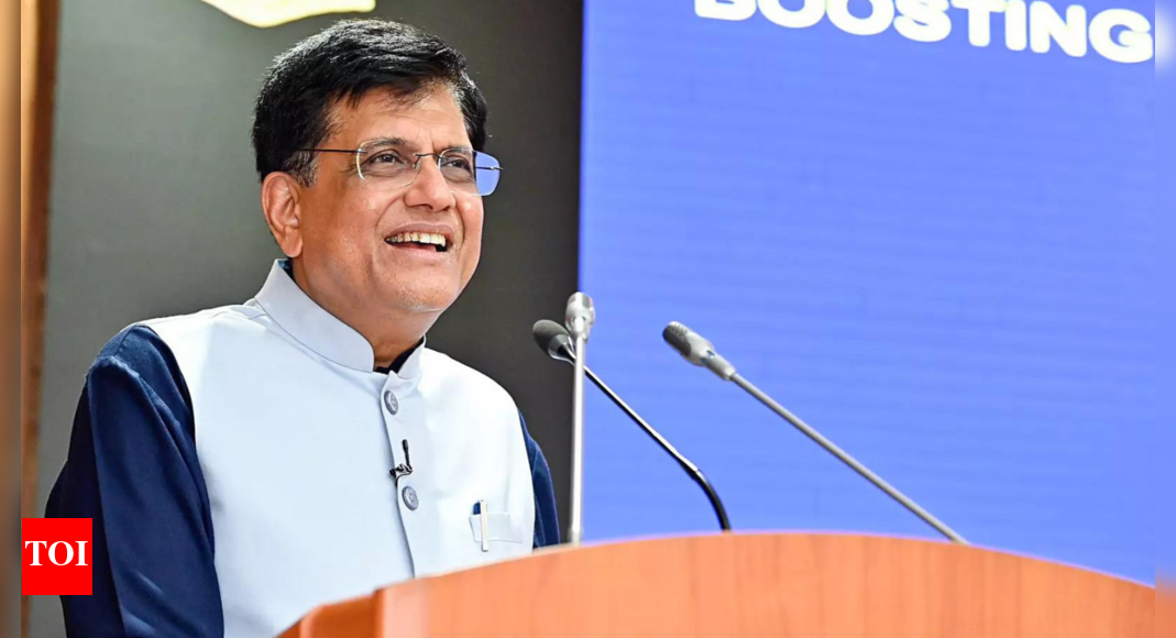 Piyush Goyal meets Nigerian trade minister to strengthen trade ties