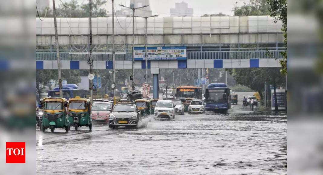 Delhi Develops Disaster Response System for Better Emergency Management