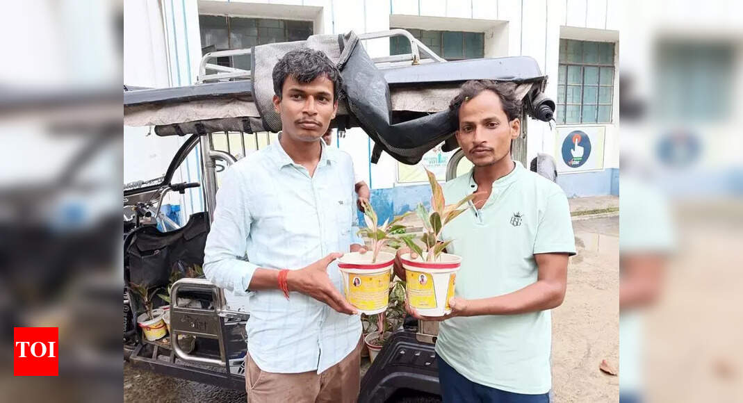 Sahibganj Family Uses Plants as Wedding Invitations for Green Cause
