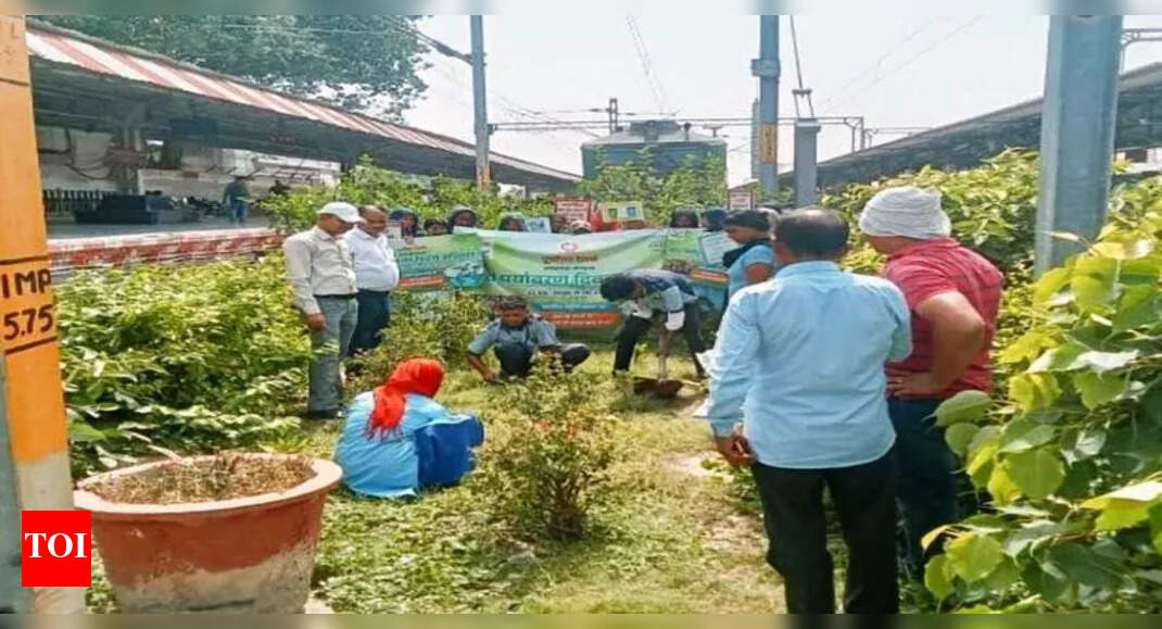NER Hosts 3-Day Campaign for Cleanliness and Environment