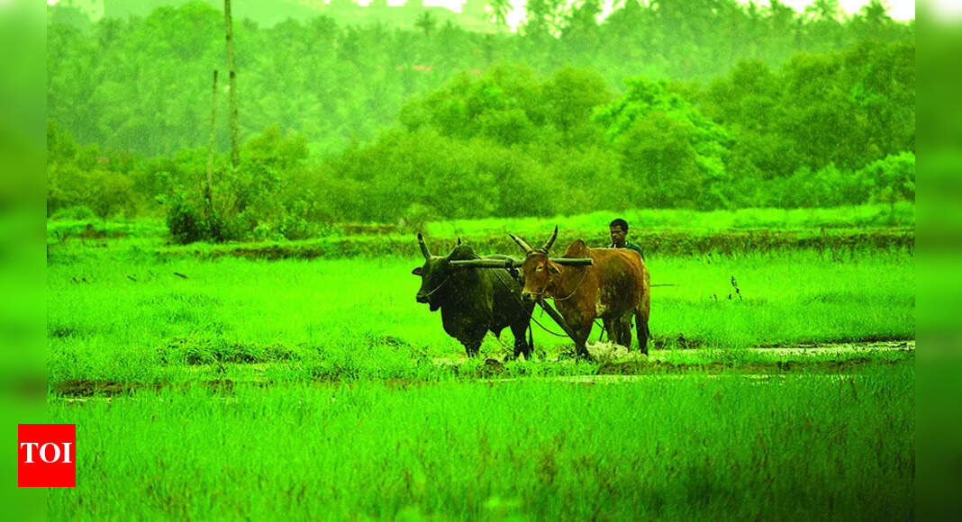 Goa Adopts Digital System to Estimate Crop Yields