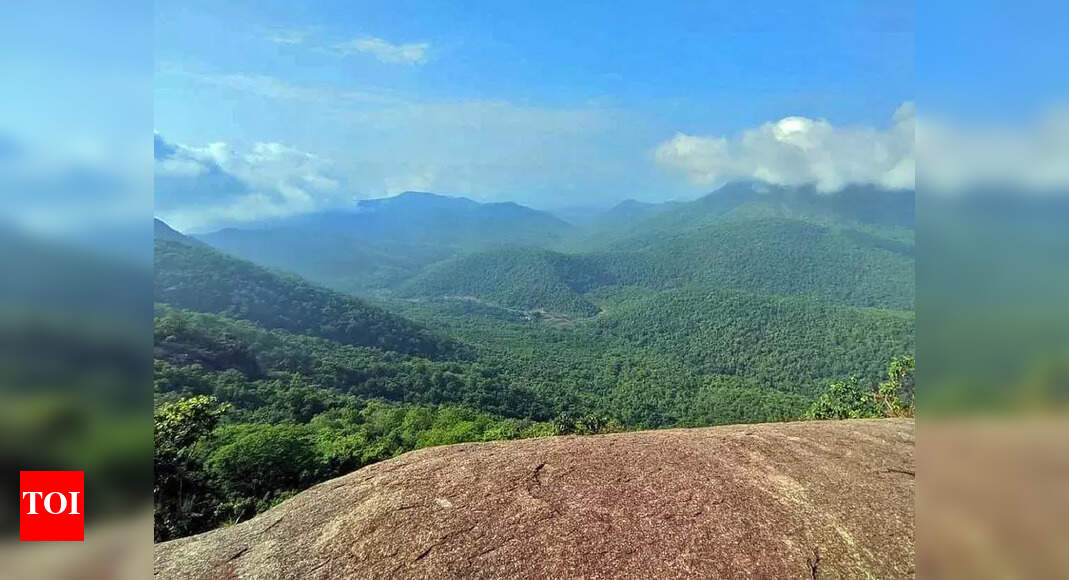 Mukulingia Hill View Set for Makeover to Boost Tourism
