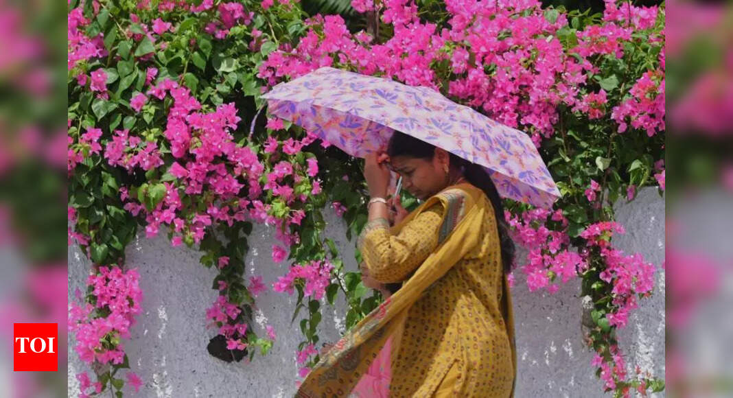 Delhi Braces for More Thunderstorms and Rain
