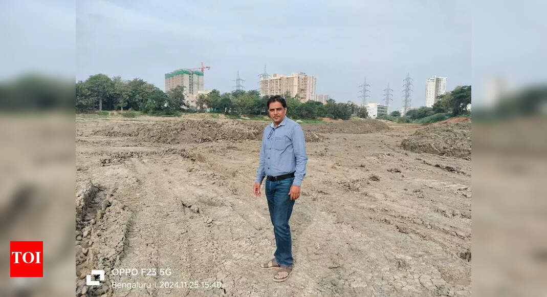 Volunteers Transform Bengaluru Lake with Fruit-Bearing Trees