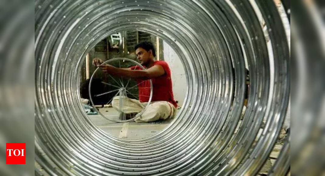 Ludhiana's Bicycle Industry Seeks Global Upgrades on World Bicycle Day