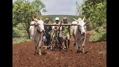 Cong seeksurgent relief of 50,000 per hectare for farmers