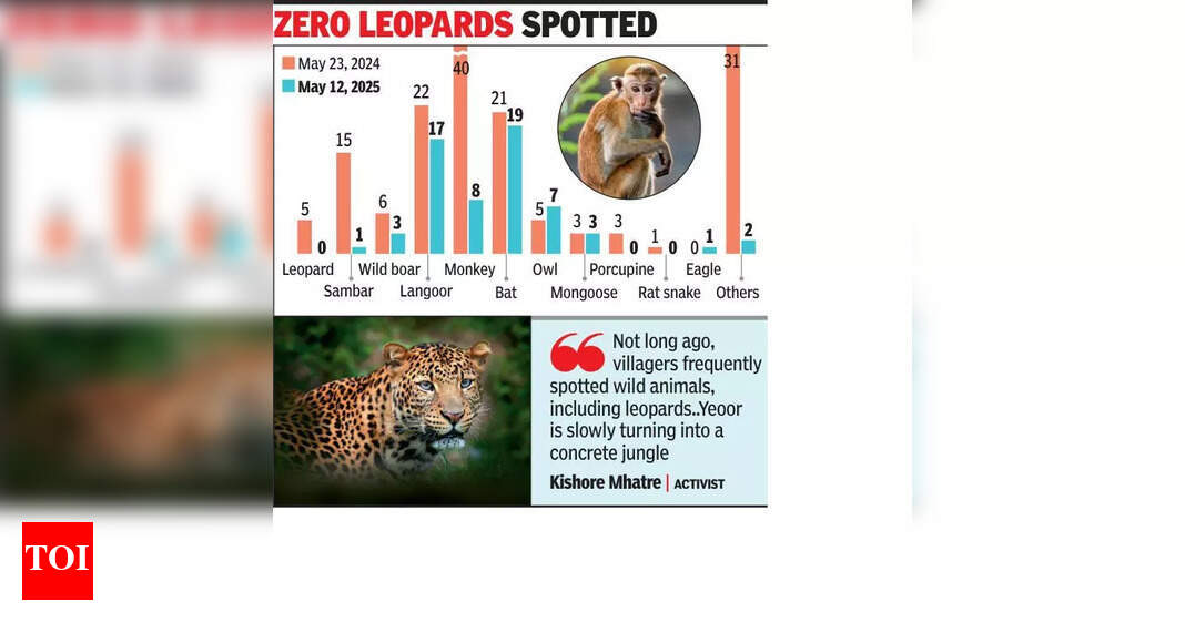Wildlife Sightings Drop Dramatically at Yeoor Range